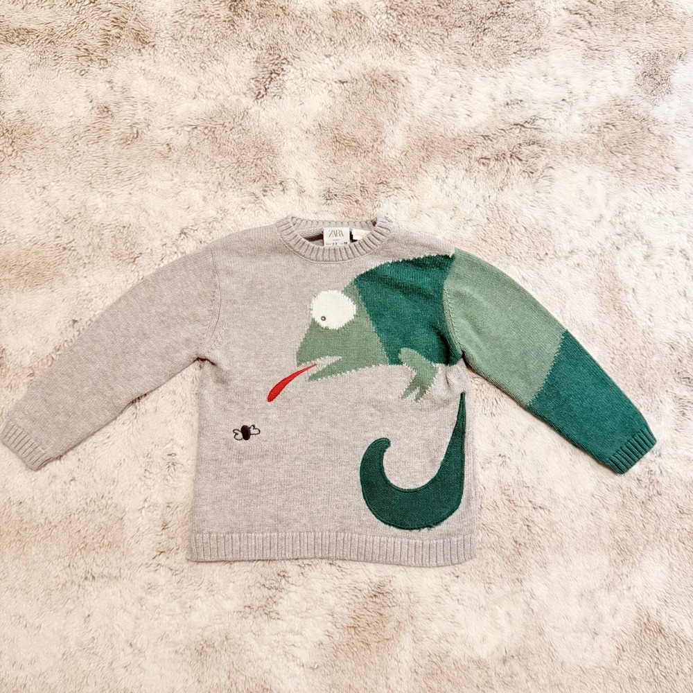 Zara Knit Chameleon Crewneck Sweater Toddler Size 2–3